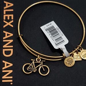 Alex and Ani Bike Charm Bracelet Charity By Design Bicycle